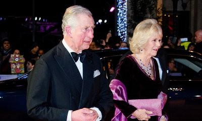 Camilla Recalls 'Horrid' Time After Prince Charles Affair Was Revealed
