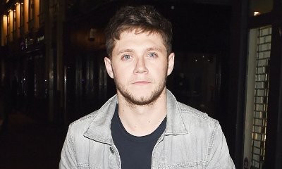 Niall Horan Promises One Direction Reunion, With Zayn Malik