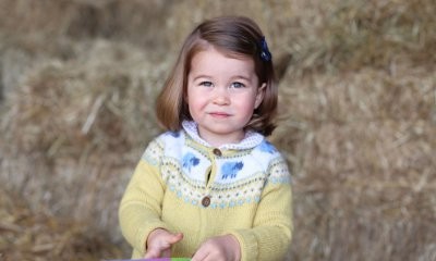 Princess Charlotte Rocks Longer Hair in New Official Picture. See How Much She's Grown Up