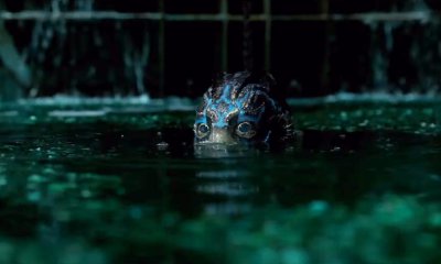 Meet Guillermo del Toro's Newest Creature in Dreamy First Trailer for 'The Shape of Water'