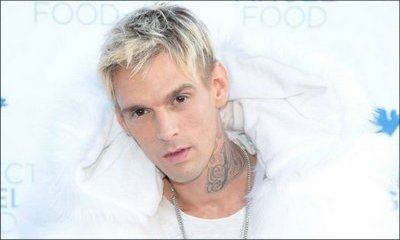 Aaron Carter Facing Harassment and Burglary Attempt After Bisexual Confession