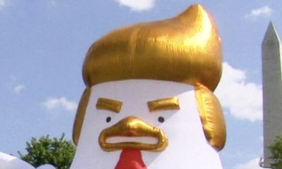Giant Inflatable Donald Trump-Like Chicken Spotted Next to White House. See How Twitter Reacts!