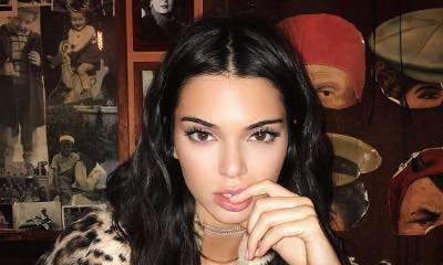 Kendall Jenner Granted Permanent Restraining Order Against Obsessed Fan