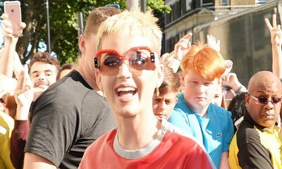 Find Out Who Katy Perry Wants to Judge With for 'American Idol' Reboot