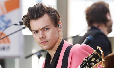 Overzealous Fan Grabbed Harry Styles' Crotch During Concert, #RespectHarry Is Trending on Twitter