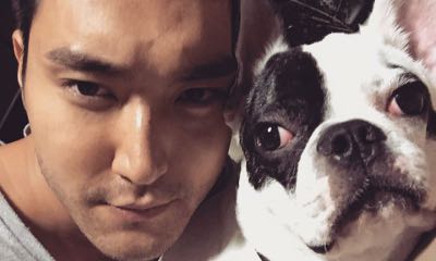 Super Junior's Siwon Apologizes After His Dog Bit and Caused the Death of a Neighbor