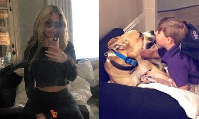Kim Zolciak Decides to Keep the Dog That Bit Her Son. Why?