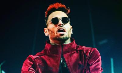 Chris Brown Sparks Outrage After Buying Baby Monkey as a Pet for 3-Year-Old Daughter Royalty