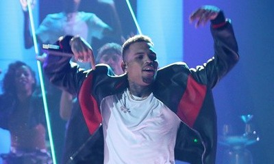 Chris Brown Could Face Jail Time for Owning Pet Monkey