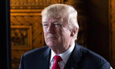 Donald Trump Announces the Winners of His 'Fake News Awards' - See Celebs' Responses
