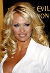 Pamela Anderson Creating a Sexy New Lingerie Line