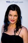 'NCIS' Star Pauley Perrette Engaged to Cameraman Michael Bosman