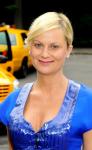 'Public Service', Title to Amy Poehler's New Comedy