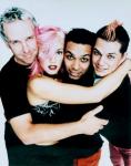 No Doubt's Cover Version of Adam and the Ants' 'Stand and Deliver'