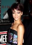 Rihanna Throws Secret Party, Friends Toast Her Split From Chris Brown