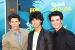 Jonas Brothers Tapped for Stevie Wonder's House Full of Toys