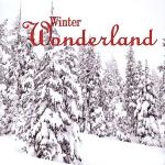 Winter Wonderland Tops ASCAP's Holiday Tune