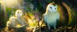 First Pictures From Zack Snyder's 'Legend of the Guardians' Unveiled