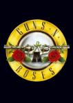 Guns N' Roses Cancel Rescheduled Concert in Costa Rica