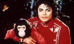 Michael Jackson's Chimp Traced Back for Documentary