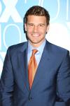 David Boreanaz Sued for Sexual Harassment by 'Struggling Actress'