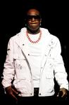 Birdman in Bid to Be Shareholder in Miami Dolphins