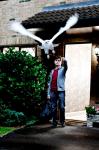 'Harry Potter and the Deathly Hallows' Already Big Hit at U.S. Box Office