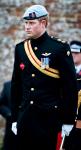 Prince Harry 'Delighted' at William's Engagement