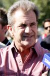 Mel Gibson Surrendered an Arsenal of Weapons in Summer