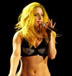 Lady GaGa Collaborates With Polaroid Again