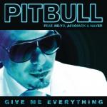 Pitbull Throws Giant Party in 'Give Me Everything' Music Video