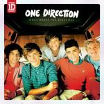 One Direction's 'What Makes You Beautiful' Video Debuts