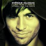 Enrique Iglesias Premieres Star-Studded Video for 'I Like How It Feels'