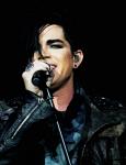 Adam Lambert Is Back on AMAs Stage After 2009 Controversy