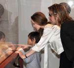 Brad Pitt Is Officially Engaged to Angelina Jolie, Designs Her Diamond Ring