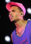 Chris Brown Denies Breeding Dogs for Profit