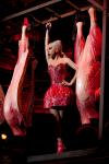 Lady GaGa Shows Off New Meat Dress at Tokyo Concert