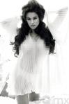 Sofia Vergara Goes Braless Under Sheer Top for GQ Mexico