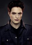 Robert Pattinson Talks Going 'Insane' When Filming 'Breaking Dawn II' Fight Scene
