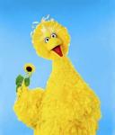 Sesame Workshop Responds to Mitt Romney's Plan to Kill Big Bird