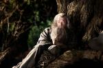 Ian McKellen Defends 'The Hobbit' From Criticisms Over the Film's Format