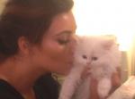 Kim Kardashian Mourns the Death of Her Cat Mercy