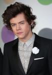 Fan Apologizes for Hitting Harry Styles in the Crotch During One Direction Concert