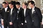 One Direction on Their 3D Film: 'You Can See Us in the Toilet'