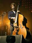 Mumford and Sons Cancels Three U.S. Gigs as Bassist Undergoes Brain Surgery