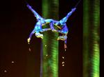 Sarah Guyard-Guillot of Cirque du Soleil Dies After Falling 50 Feet