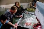 'Sharknado' Director on Possible Sequel: We'll Do 'Die Hard' With Sharks
