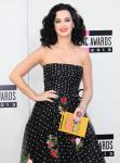 Stylist Says Katy Perry's Geisha-Themed Performance at AMAs Is Not Racist