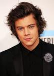 Photo of Harry Styles' Naked Butt Surfaces Online