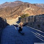 Katy Perry Shares Photo of Her Doing Split on the Great Wall of China